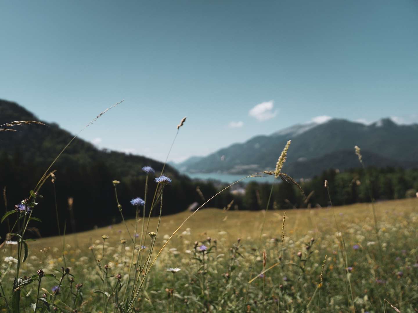 Spätsommer im Salzkammergut - in unmittelbarer Nähe zum Wolfgangsee