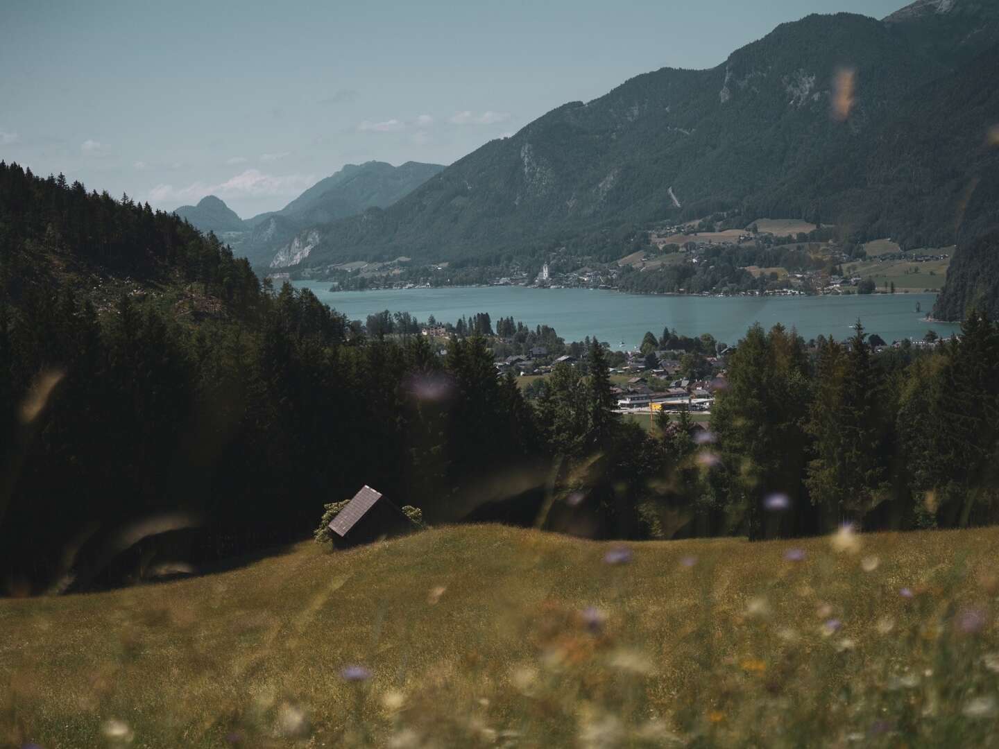 Spätsommer im Salzkammergut - in unmittelbarer Nähe zum Wolfgangsee