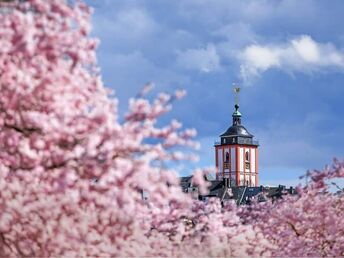 3 Tage Kurztrip nach Siegen - Städtetrip mit Natur pur verbinden