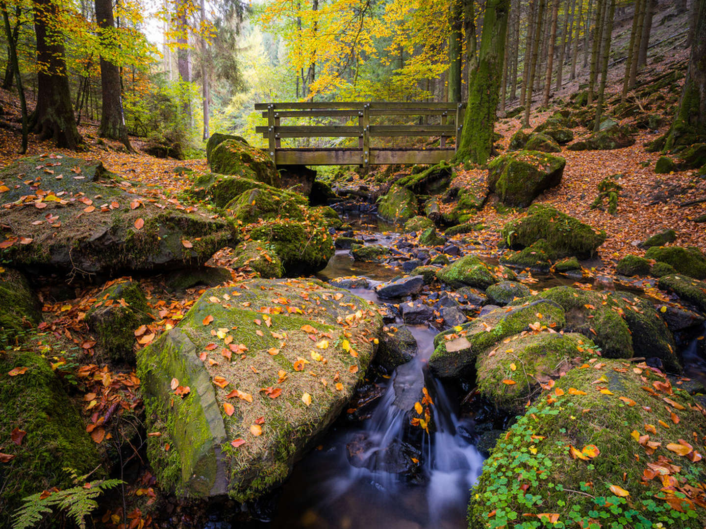 3 Tage Kurzurlaub am Teutoburger Wald | Mix aus City-Trip in Bielefeld & Natur pur