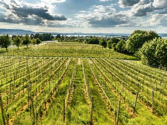 8 Tage Kurzurlaub - Auszeit vom Alltag  am Bodensee