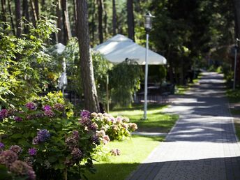 Weihnachtsarrangement nahe der polnischen Ostseeküste