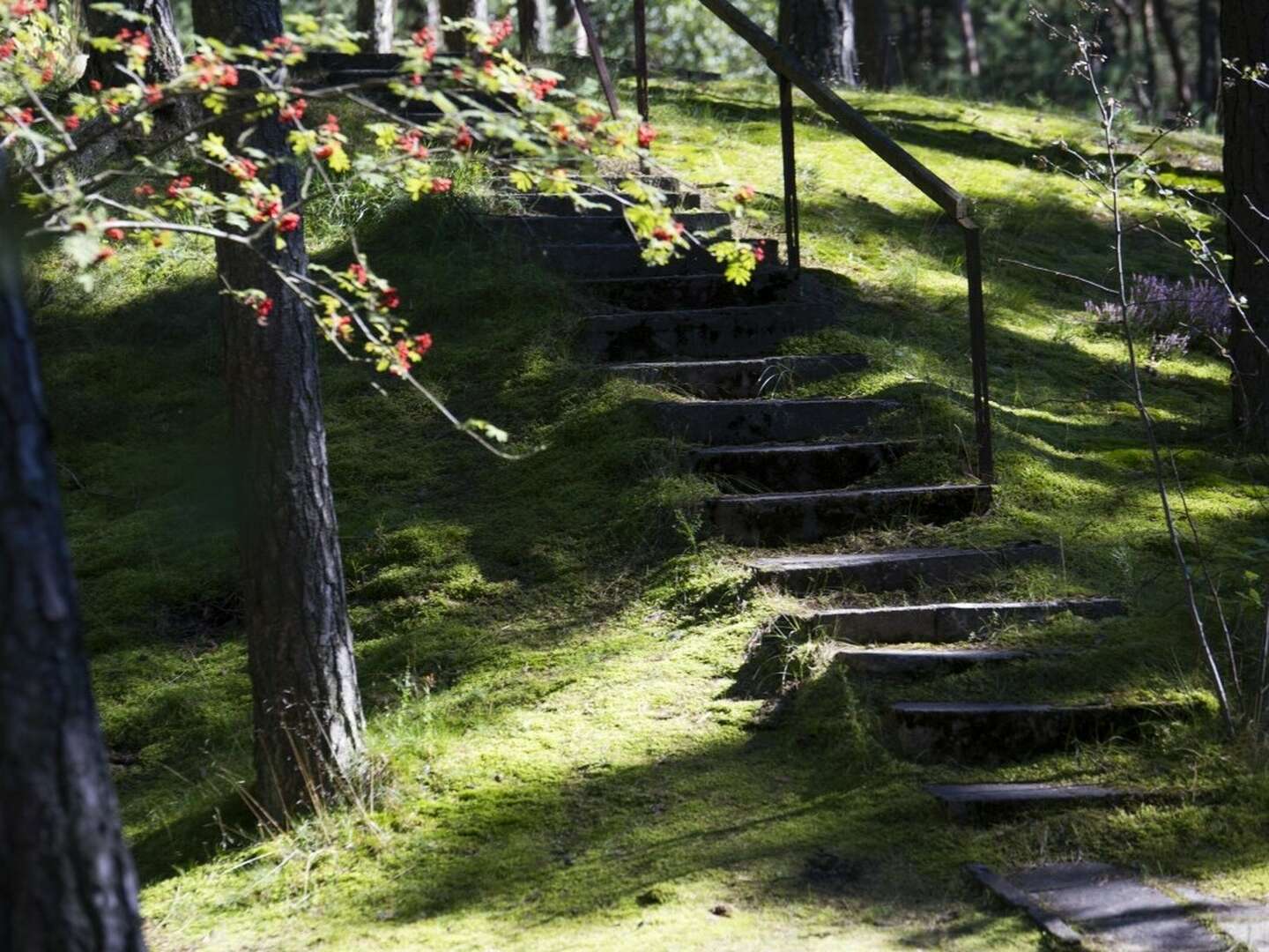 Weihnachtsarrangement nahe der polnischen Ostseeküste