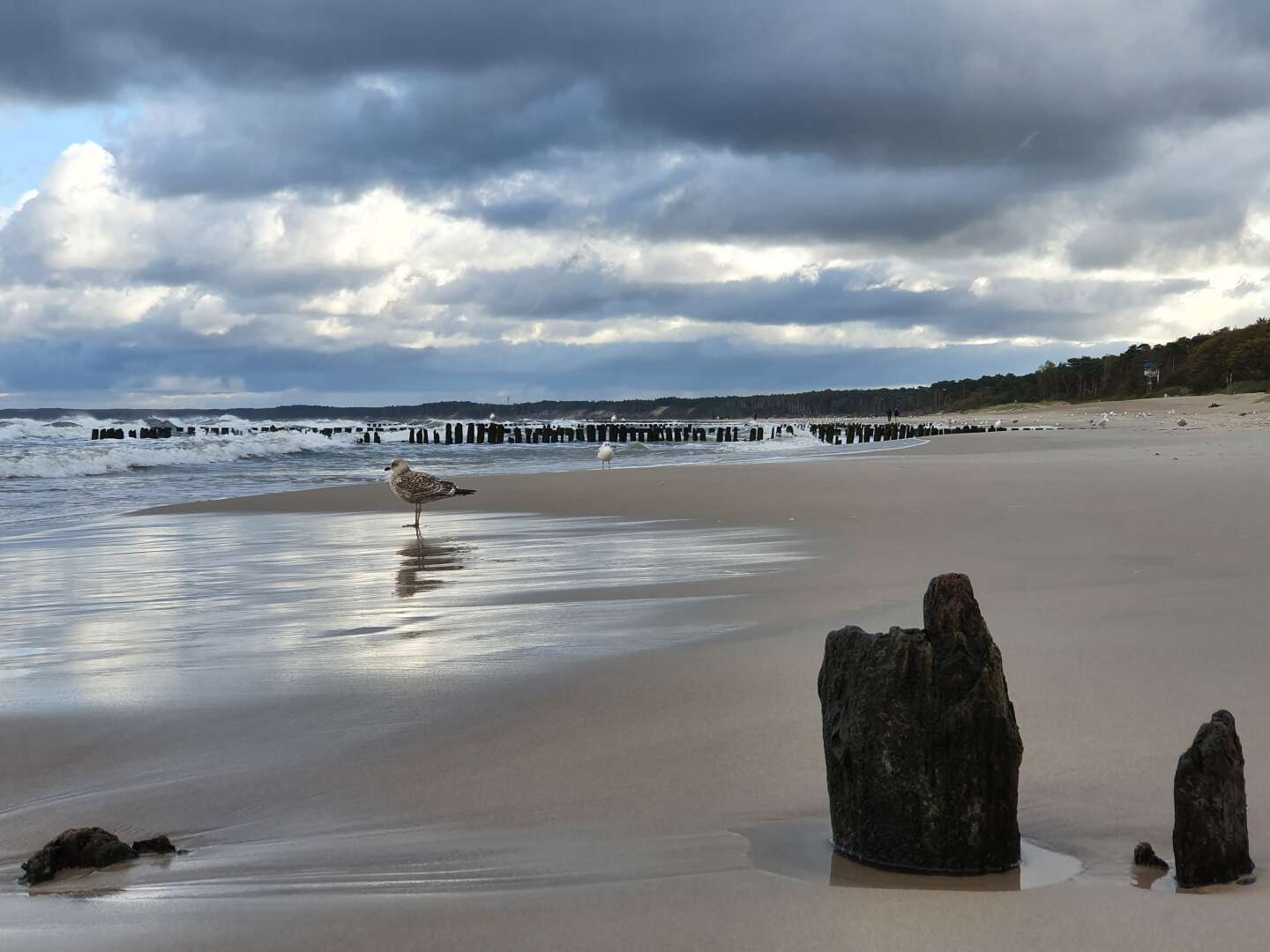 Wellness in Stolpmünde 300 M vom Strand | 6ÜHP 