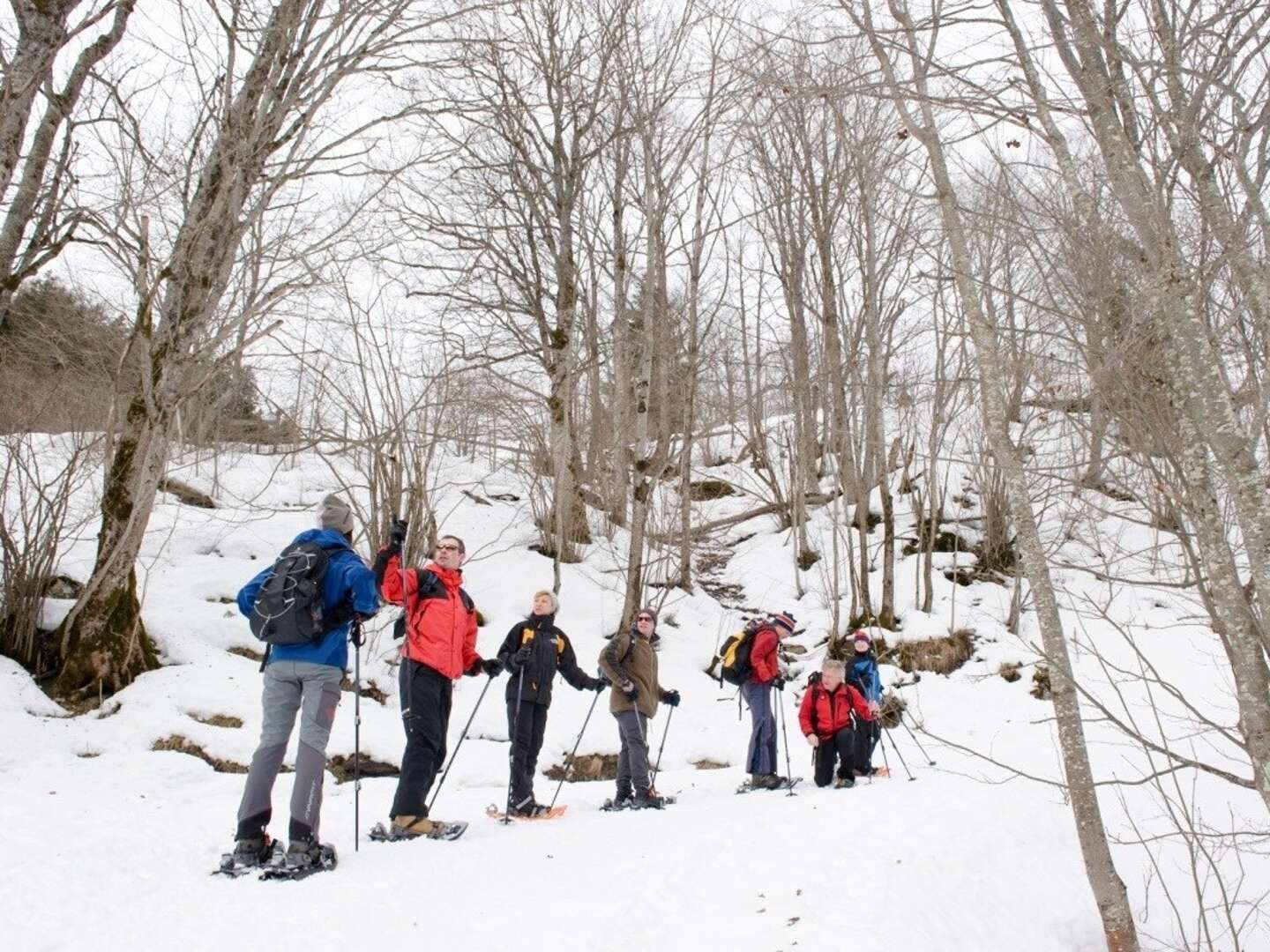 4=3 Weihnachten in Vorarlberg inkl. Kinderbetreuung 