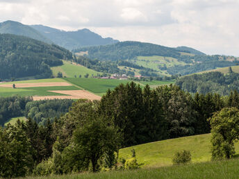 Städtekurztrip im Lifestyle-Hotel - Steyr entdecken | 2 Nächte