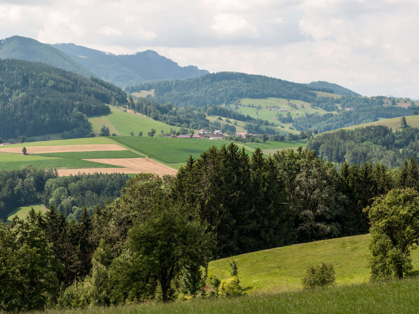 4 Tage Kurzurlaub im Lifestyle-Hotel in Steyr