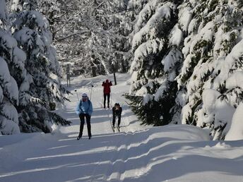 Wellness Auszeit in Desendorf - 3 Nächte 