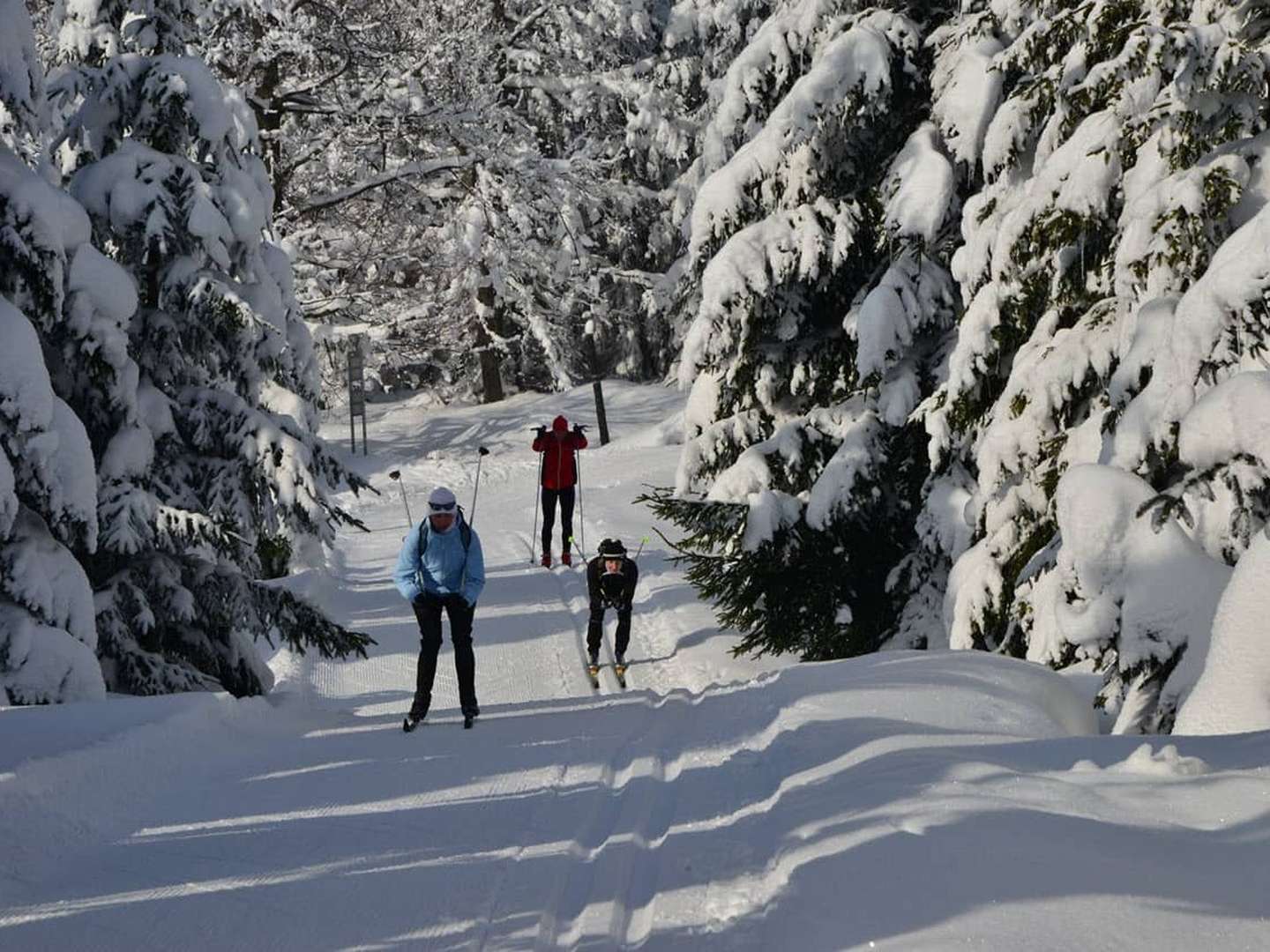 Wellness Auszeit in Desendorf - 4 Nächte  