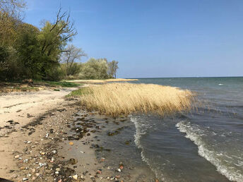 Meeresrauschen genießen - 6 Tage Kurzurlaub an der Ostsee