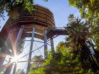 5 Tage Auszeit am Baumwipfelpfad im Saarland