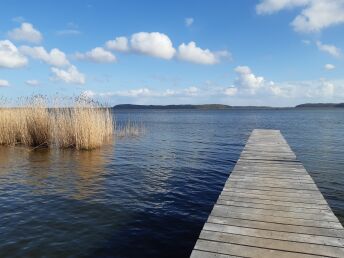 Kreidezeit - Rügen inkl. Eintritt 