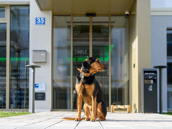 4 Tage Bergidylle in der Alpenstadt Bad Reichenhall