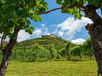 Schönes Land in Sicht - bei Freiburg im Breisgau - 7 Tage inkl. 1 Tag Leihfahrrad