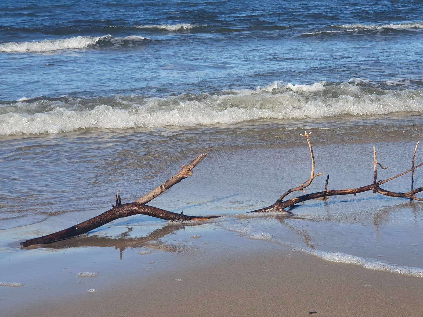 300 Meter vom Strand und Kieferwald | 5ÜF