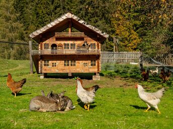 Familien-Hit im Familienhotel im Salzburger Land | 3 Nächte