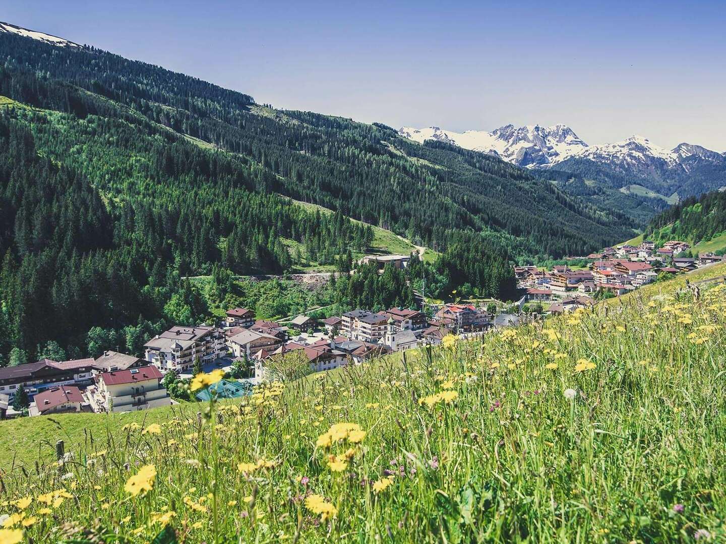 ALMWANDERN im Zillertal mit Jause für unterwegs | 3 Nächte inkl. Bergfahrt