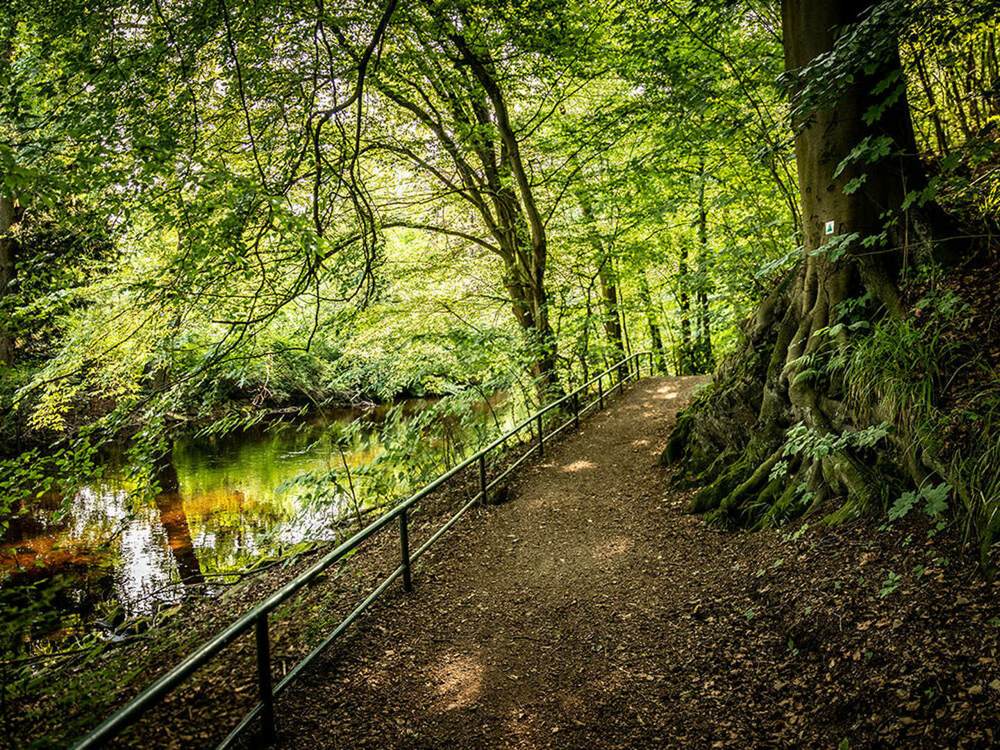 Kleine Wellness- Auszeit in Bad Lauterberg im Harz | 3 Tage  