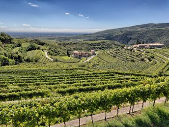 Valpolicella - Entdecken Sie die Provinz Verona mit Weinverkostung | 4 Nächte