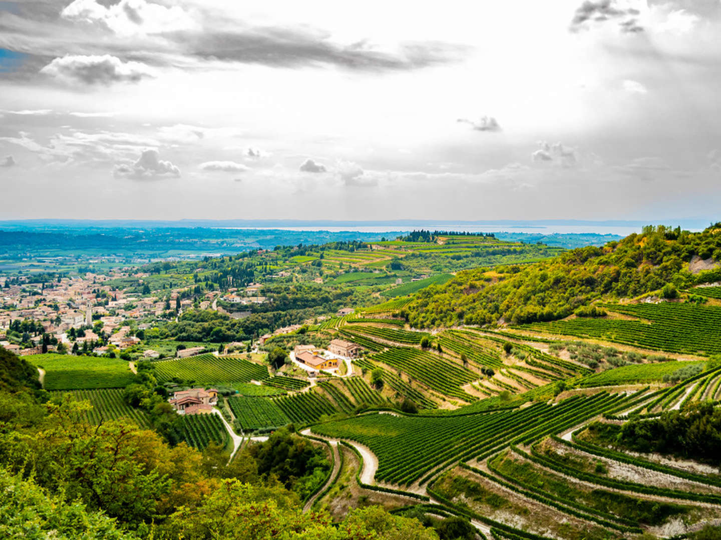 Genussurlaub in der Weinregion Valpolicella inkl. Halbpension | 7 Nächte