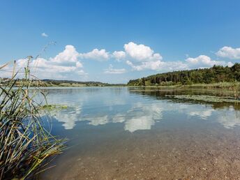 Kurz mal raus & Natur am Turnersee - 6 Nächte