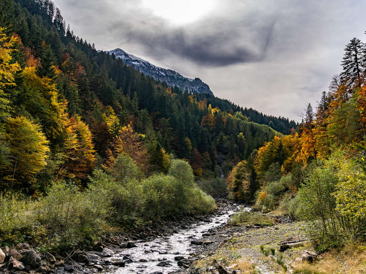 Abschalten im Bregenzerwald - Wellness & Natur | 4 Nächte