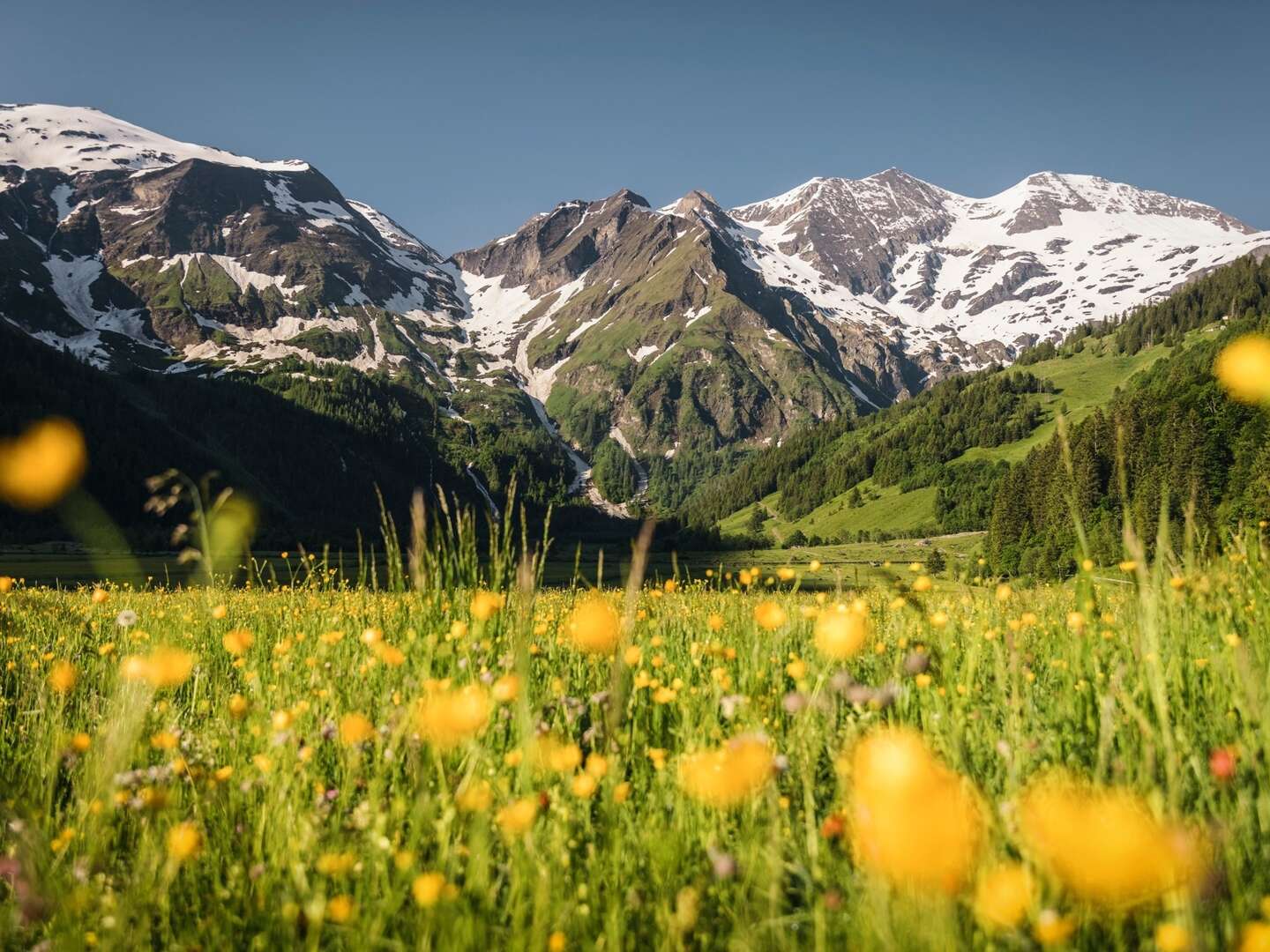 Sommerurlaub in den Bergen zwischen Zell am See & Kitzbühel | 4 Nächte