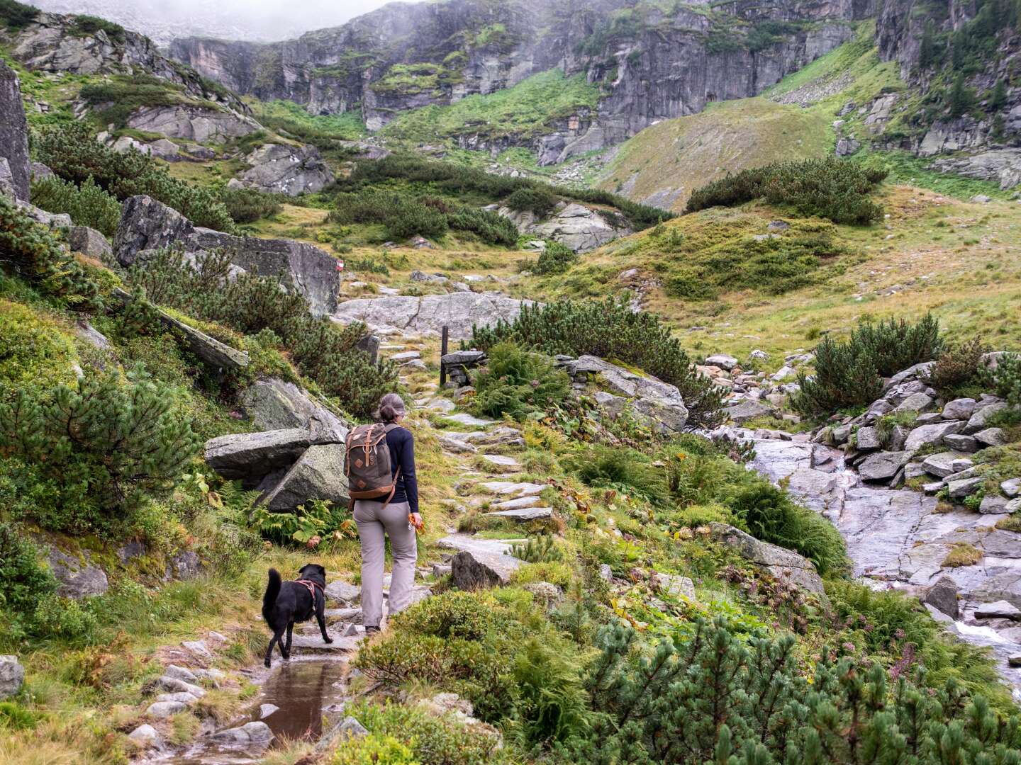 Wanderurlaub im Nationalpark Hohe Tauern mit Wellnessgenuss | 2 Nächte