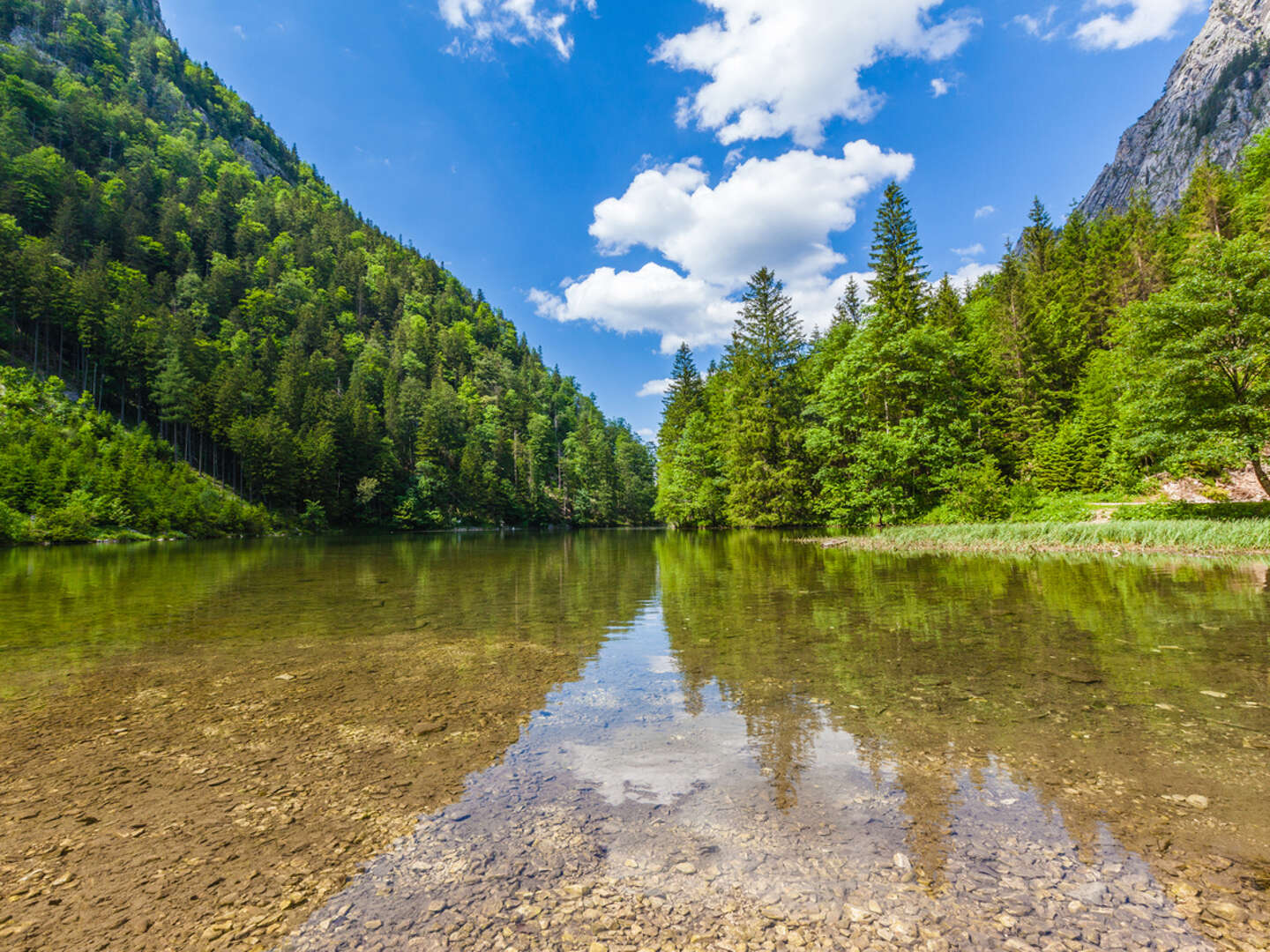 Top Deal - Auszeit beim Ötscher im luxuriösen Lodge Appartement | 2 Nächte