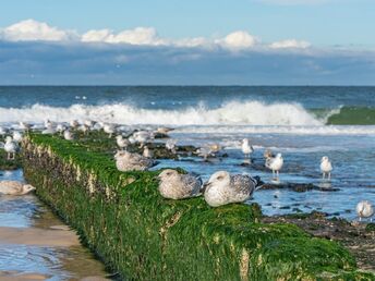 Erleben Sie eine zauberhafte Zeit auf Sylt