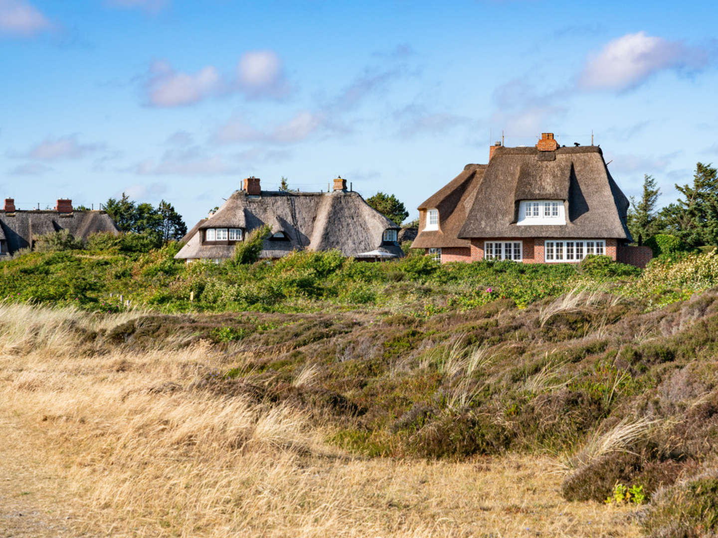 Erleben Sie eine zauberhafte Zeit auf Sylt