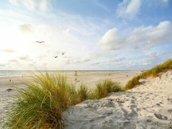 Erleben Sie eine zauberhafte Zeit auf Sylt