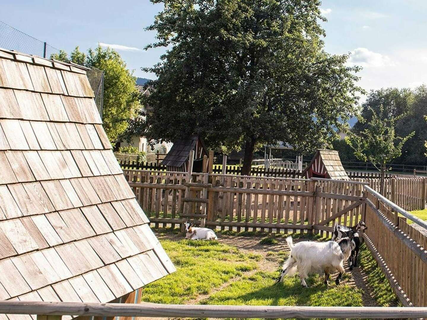 Familien-Vorteilstage am Familiengut inkl. Indoor Kinderwelt & Dorf der Tiere | 4 Nächte