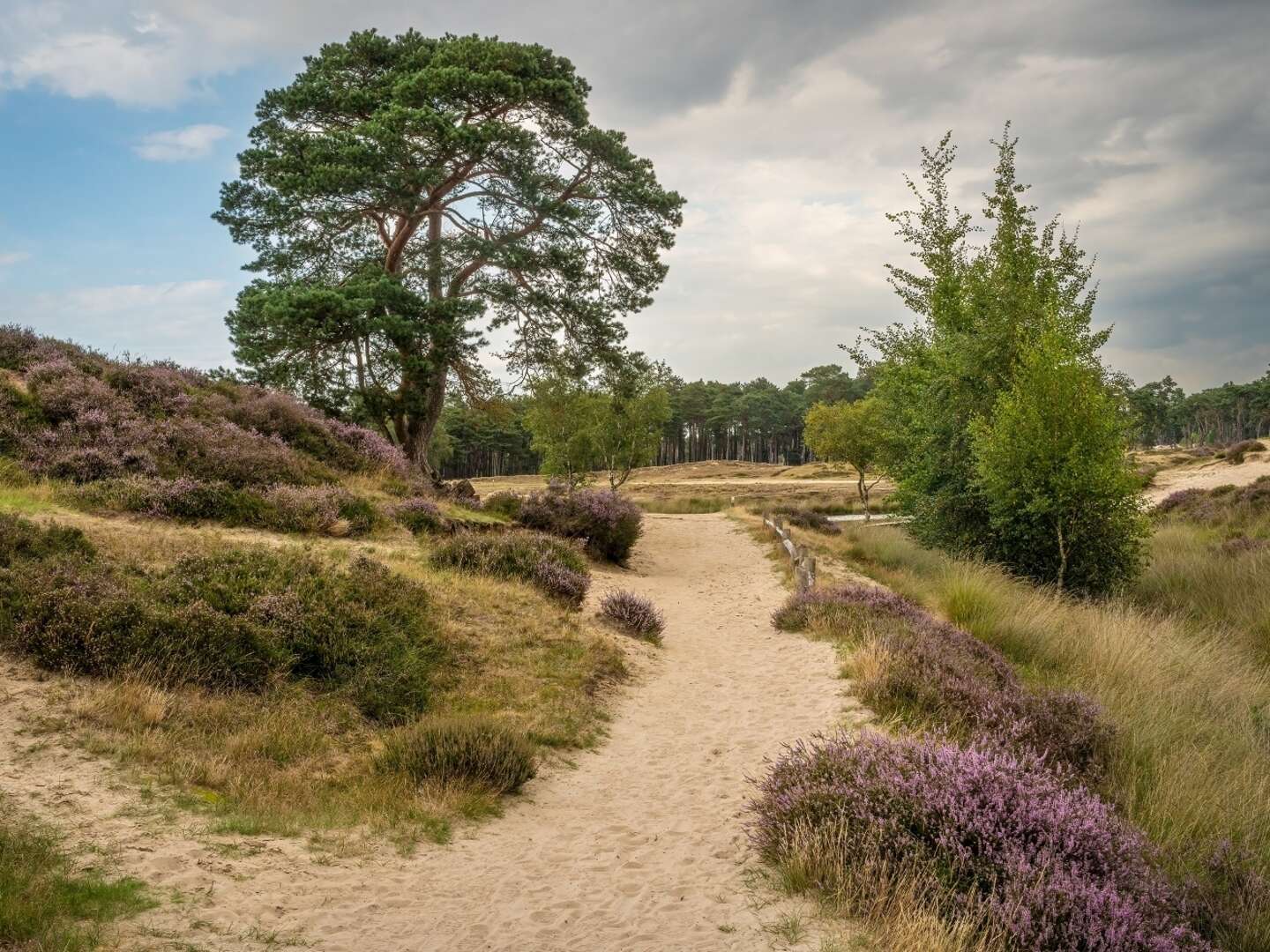 Kurzurlaub in Driebergen in malerischer Landschaft 4 Nächte 