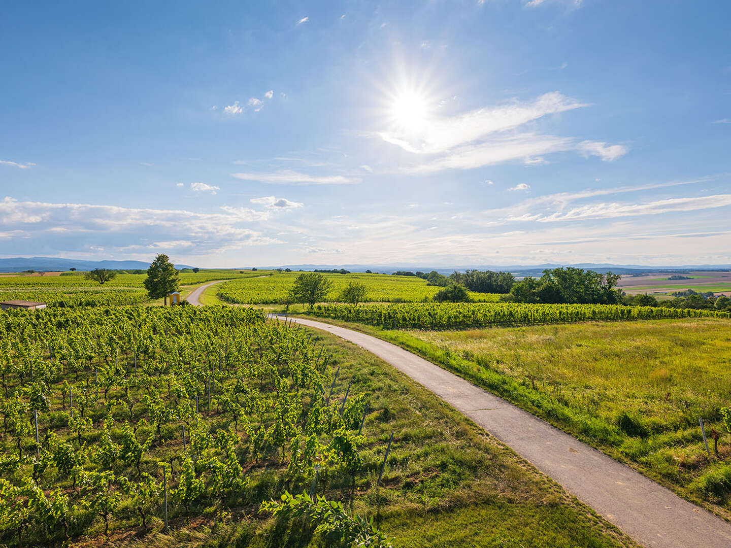 5 Tage pannonischer Kurzurlaub - Auszeit vom Alltag in Lutzmannsburg