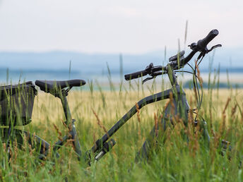 5 Tage pannonischer Kurzurlaub - Auszeit vom Alltag in Lutzmannsburg