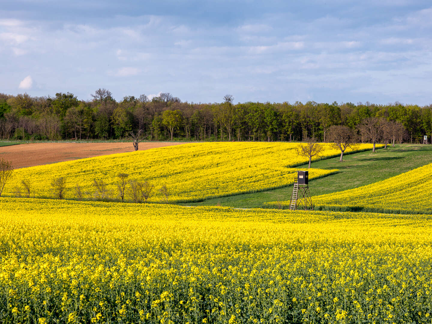 3 Tage pannonischer Kurzurlaub - Auszeit vom Alltag in Lutzmannsburg