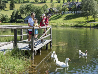 Eine ganze Woche in den Bergen - 7 Nächte mit Hund in Hohentauern