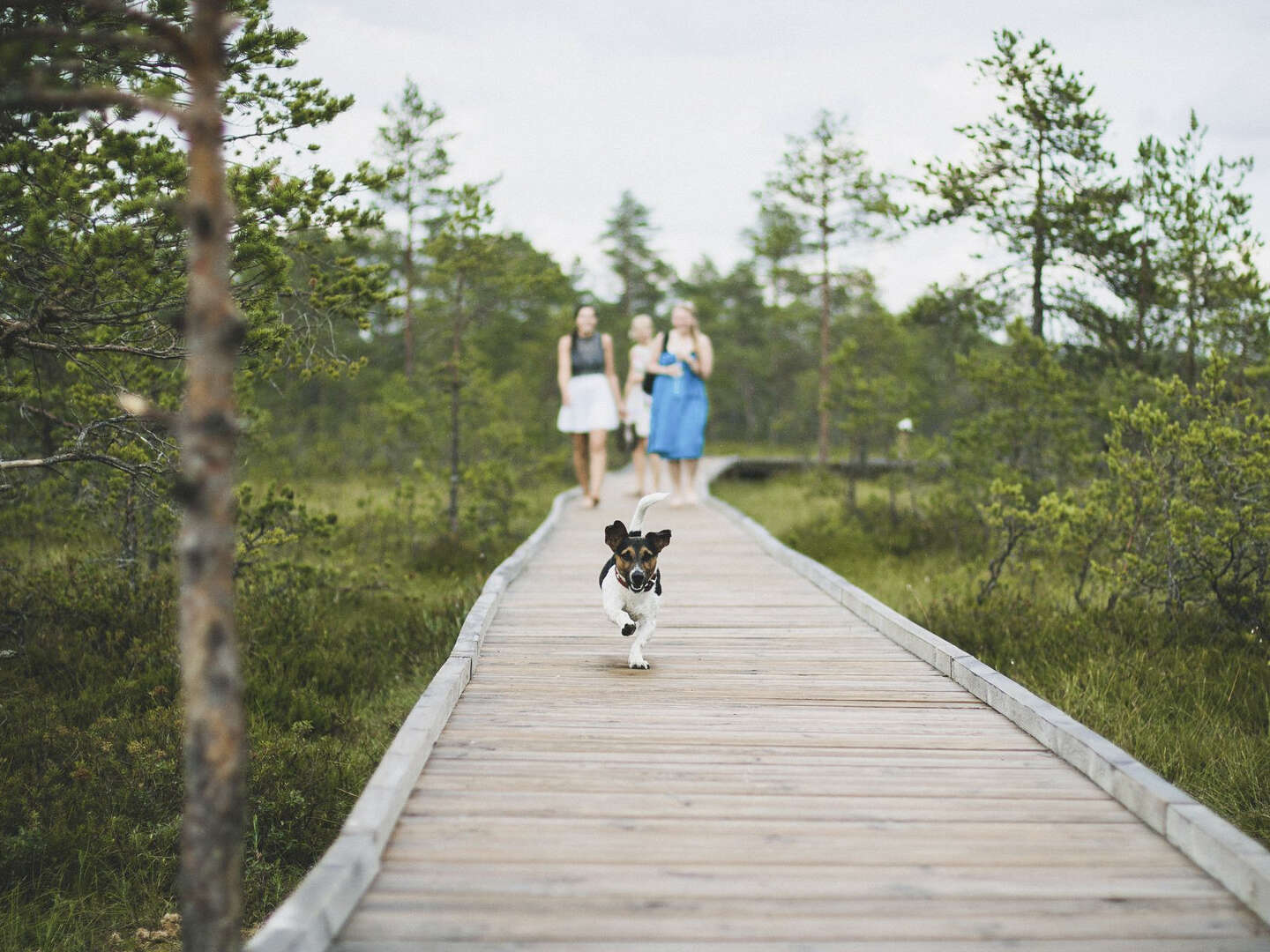 Eine ganze Woche in den Bergen - 7 Nächte mit Hund in Hohentauern