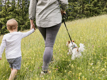 Eine ganze Woche in den Bergen - 7 Nächte mit Hund in Hohentauern