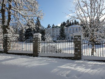 Weihnachtsarrangement 