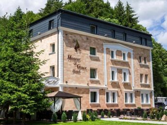 Luxuriöser Aufenthalt im Waldhotel Honour and Grace mit Halbpension - 4 Nächte							 