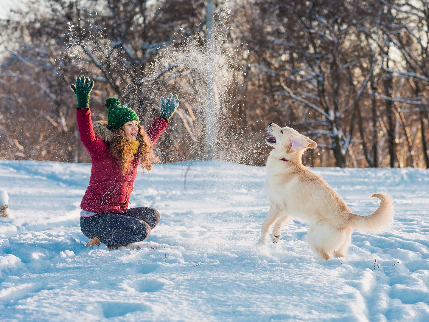 Ruhiger Silvesterurlaub mit Hund | 6 Nächte