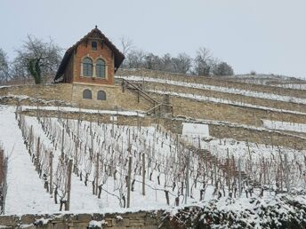 2 Tage - Auszeit vom Alltag in den Weinbergen - Saale Unstrut