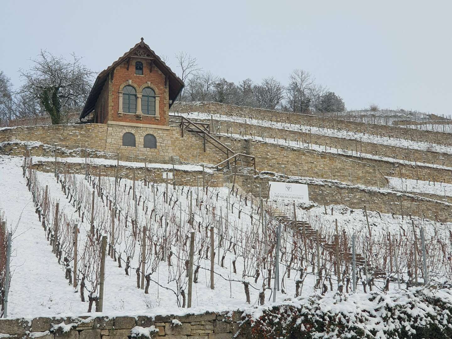 3 Tage Winterauszeit - Weinregion Saale-Unstrut inkl. Glühwein