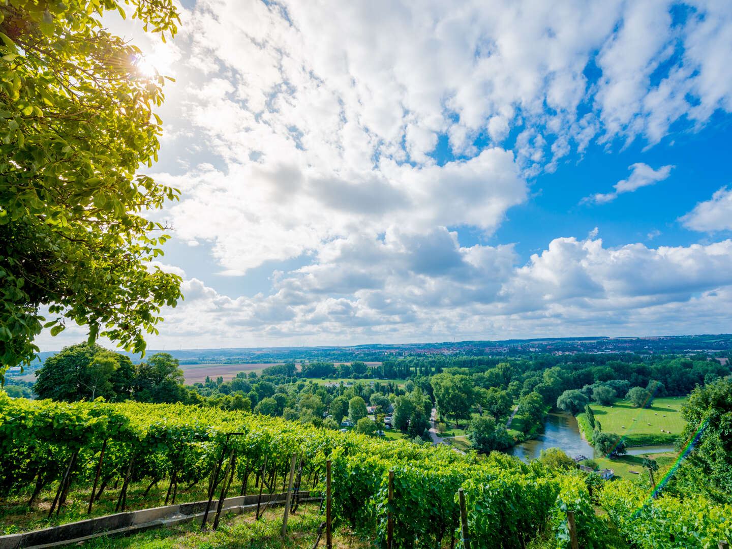 4 Tage - Auszeit vom Alltag in den Weinbergen - Saale Unstrut 