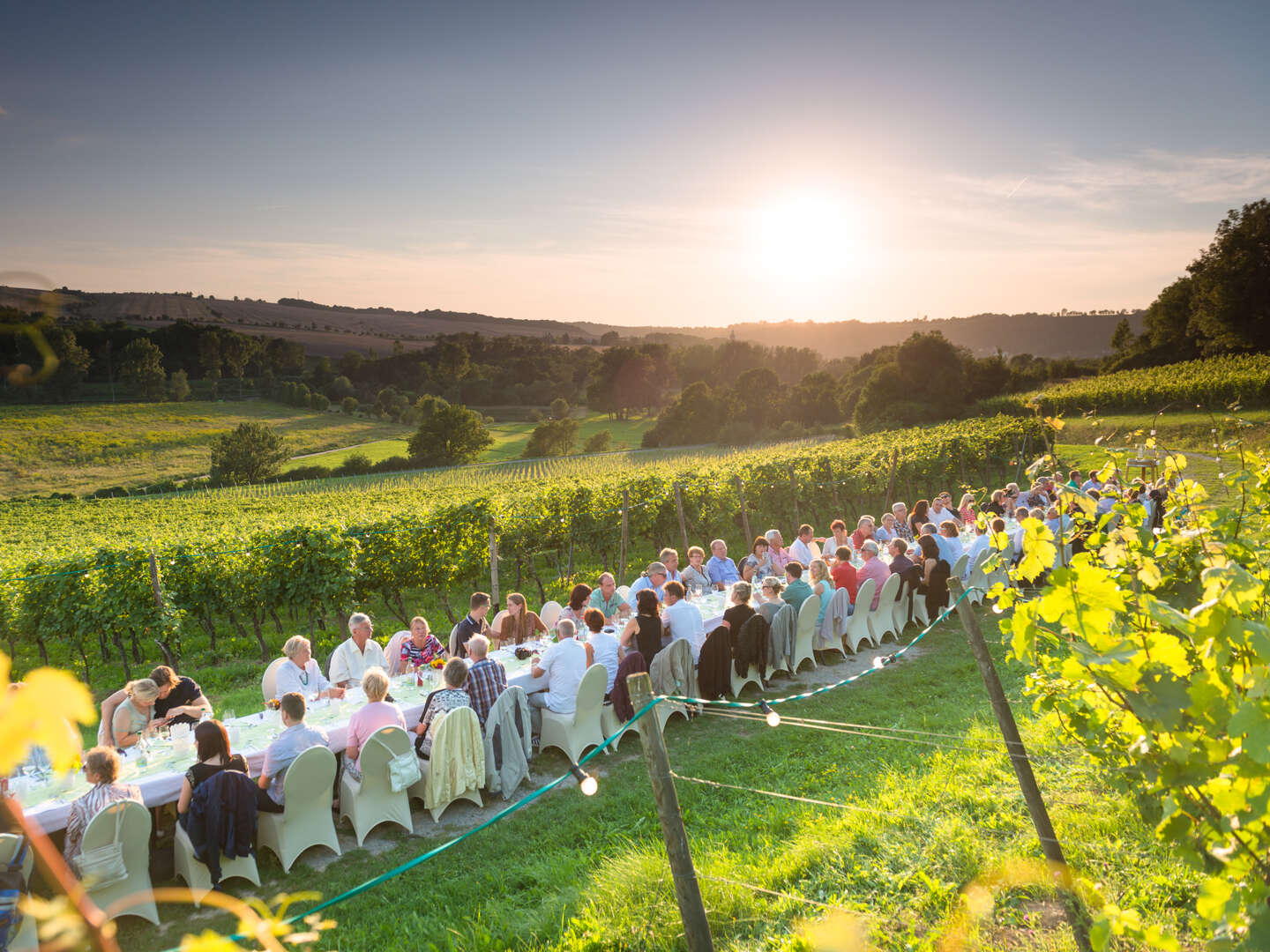 3 Tage Drahtesel - Die Weinregion Saale-Unstrut mit dem Rad