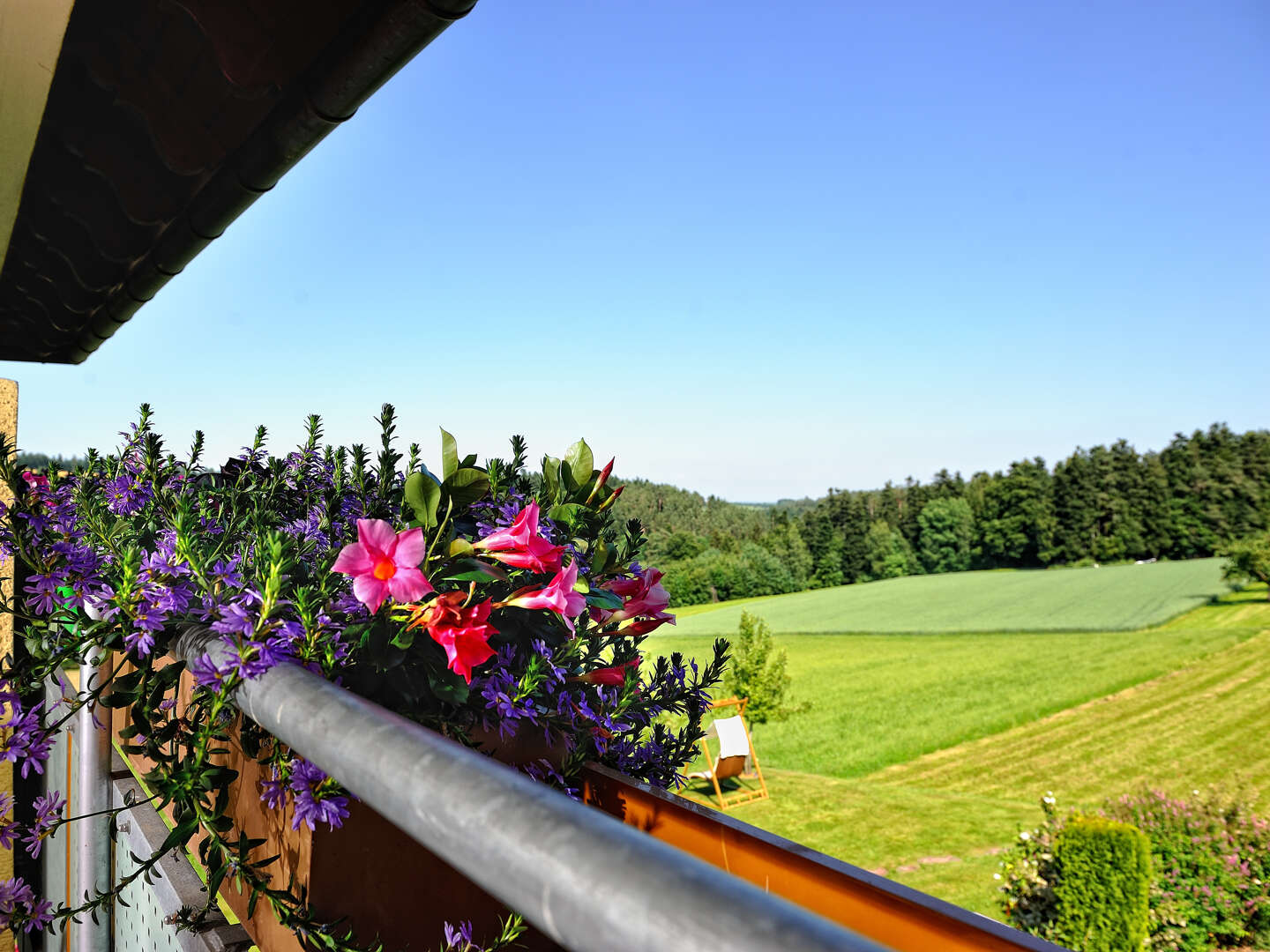 Das ist Wanderbar  - in den WanderWelten Teinachtal