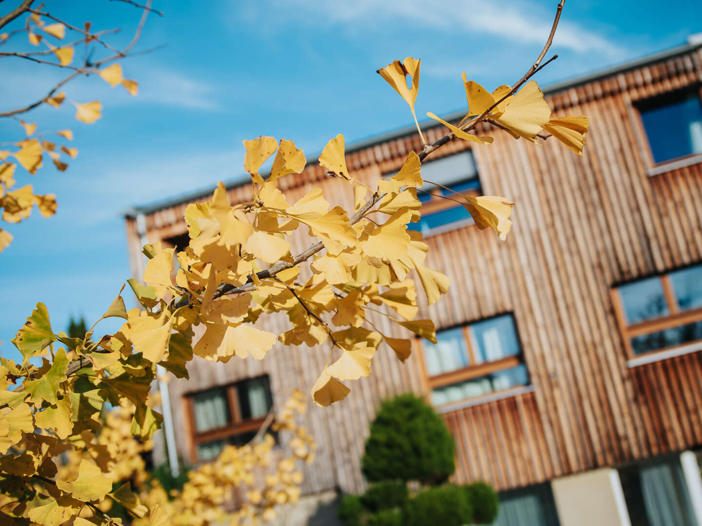 Natur pur: Erholsame Auszeit im steirischen Retreathotel inkl. veganer Halbpension | 7 Nächte