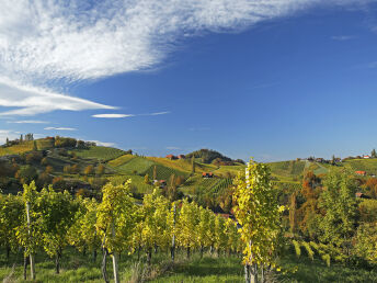 Fasten mit Wandern & Wein in der herbstlichen Südsteiermark| 6 Nächte